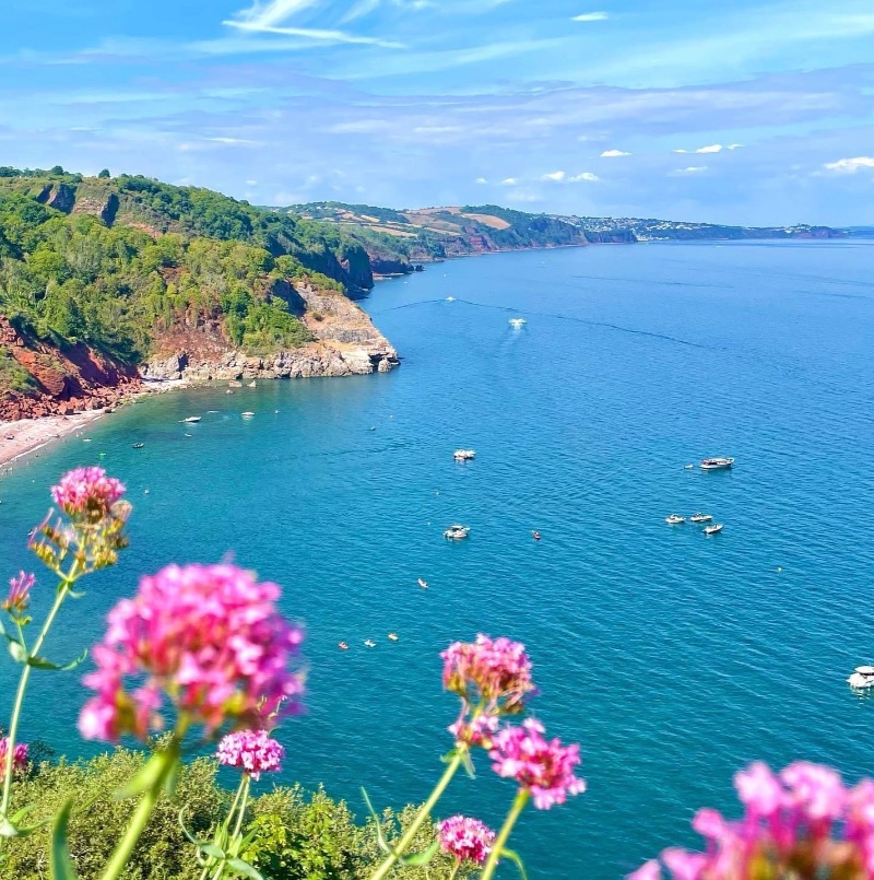 Discover Babbacombe