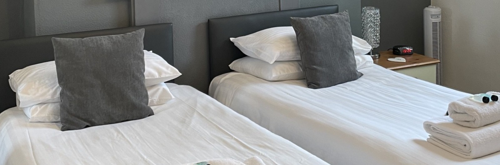 Terms and Conditions